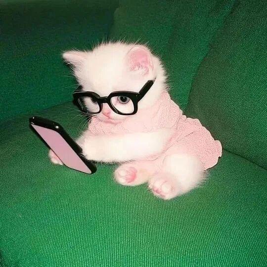 小小怪【互关】