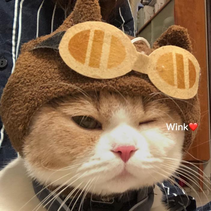 小鸡川