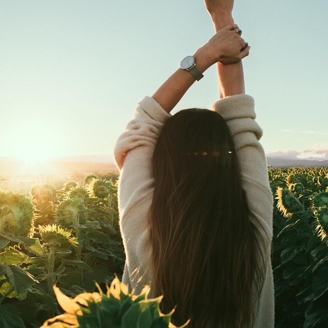 🔆    今天学习了吗？