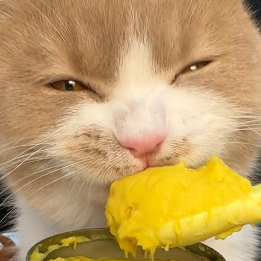 Double是豆宝（大吃省钱版）