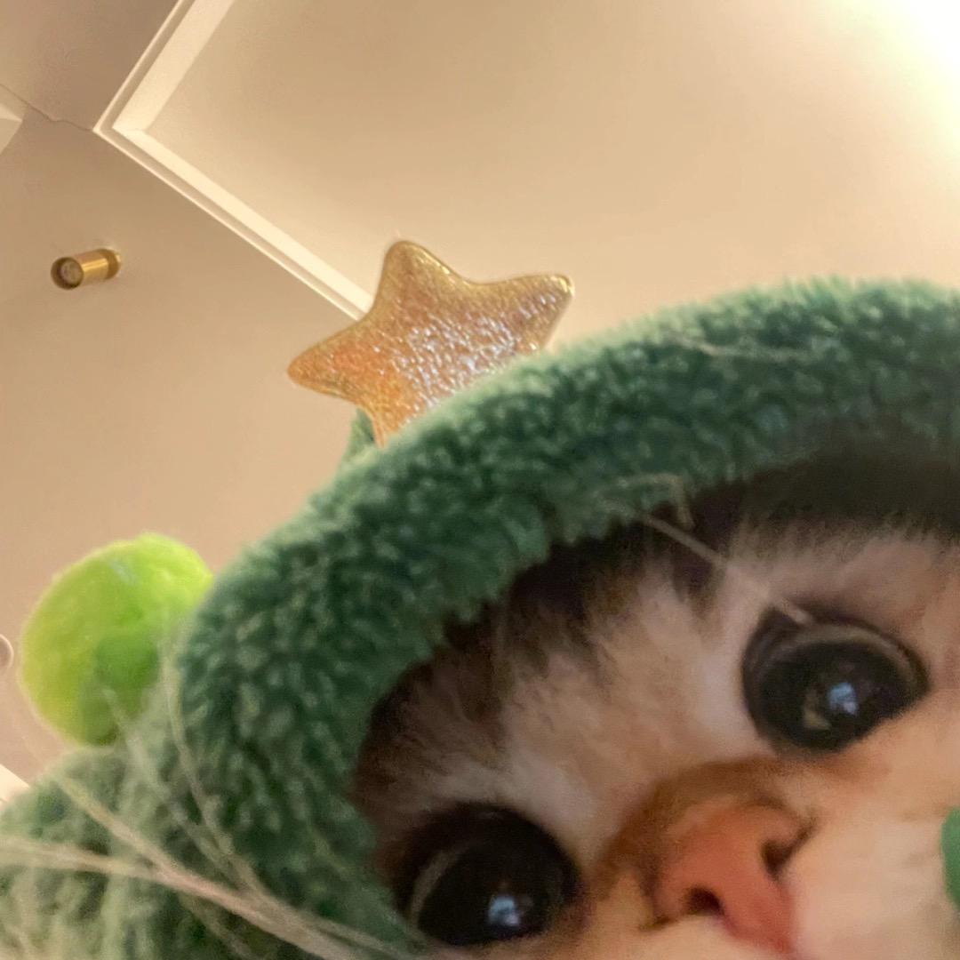 AAA烤冷面