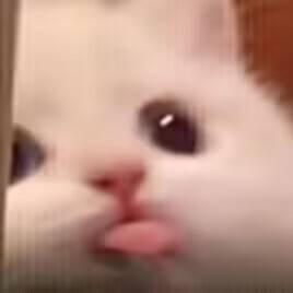 已老实的中年男孩