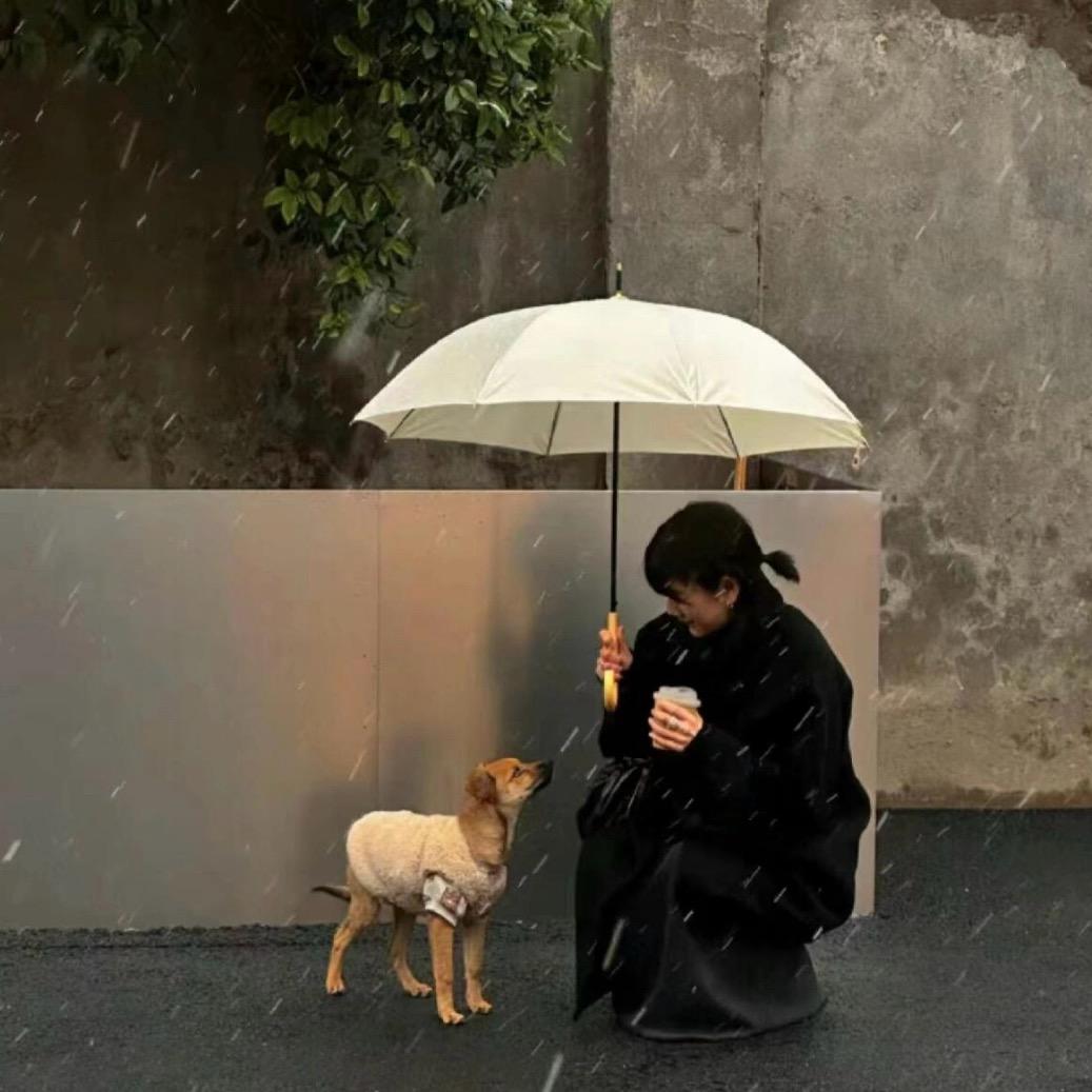 小王同学吖