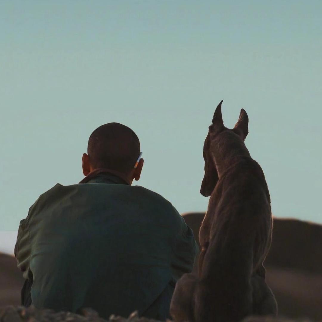 帅到全球81亿人发疯