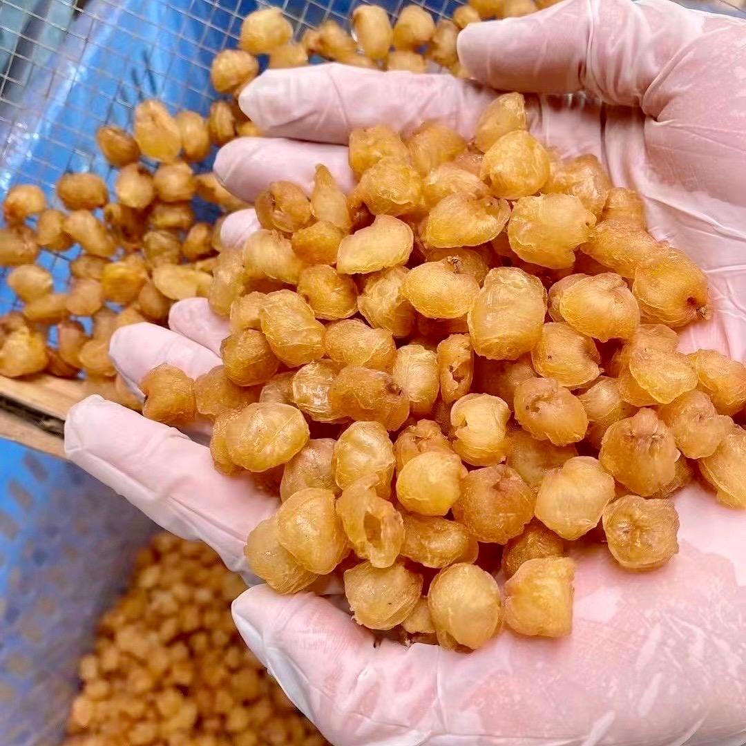 高州桂圆堂