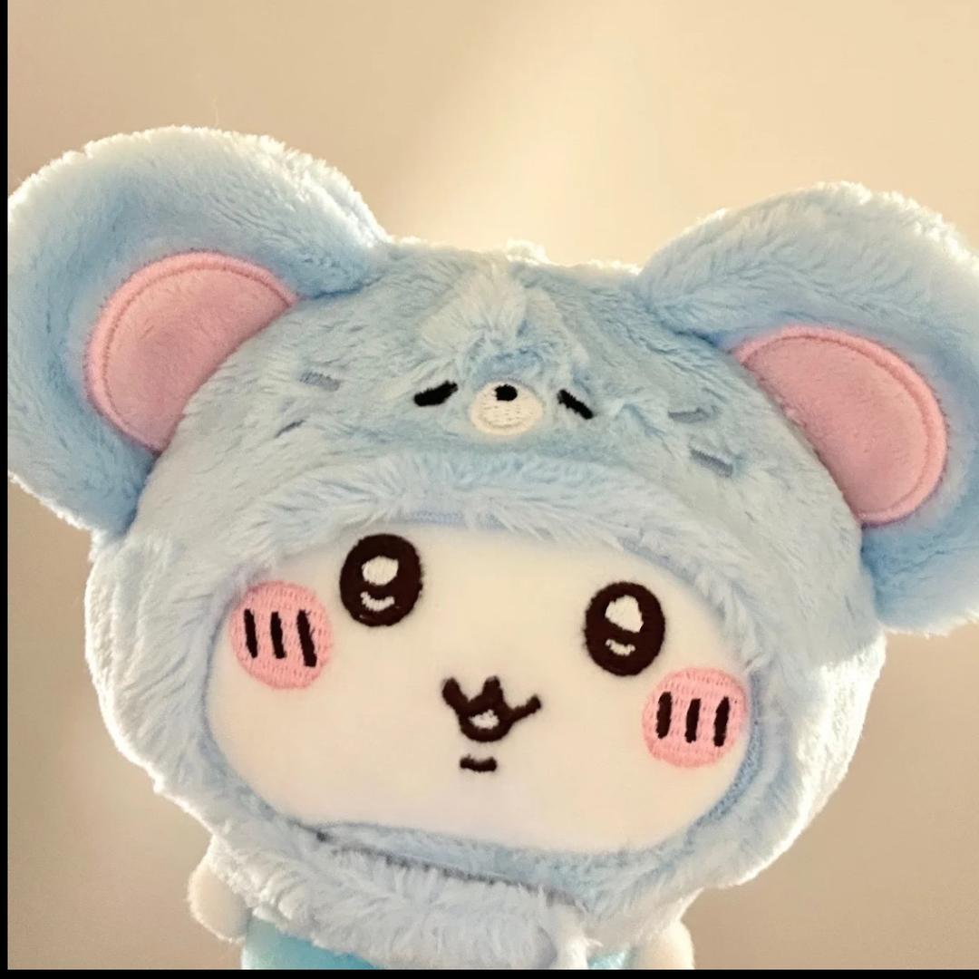 我不是鼠鼠