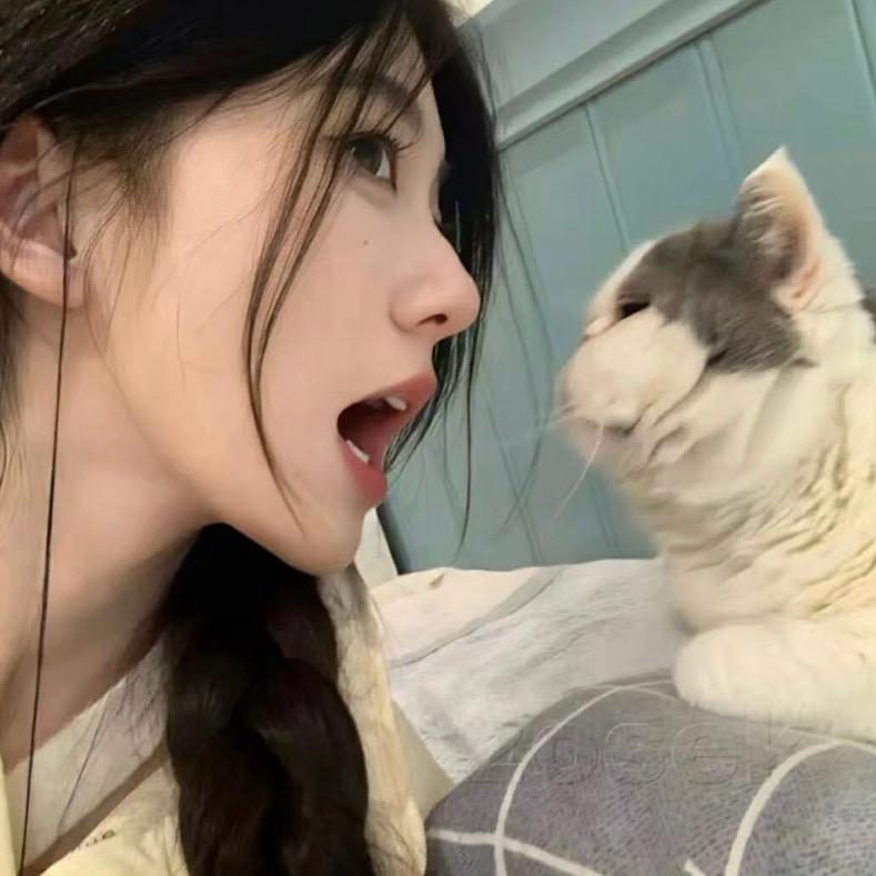 发发 🌬