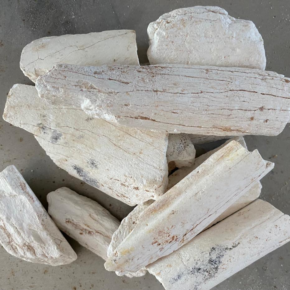 中药材龙骨，龙齿