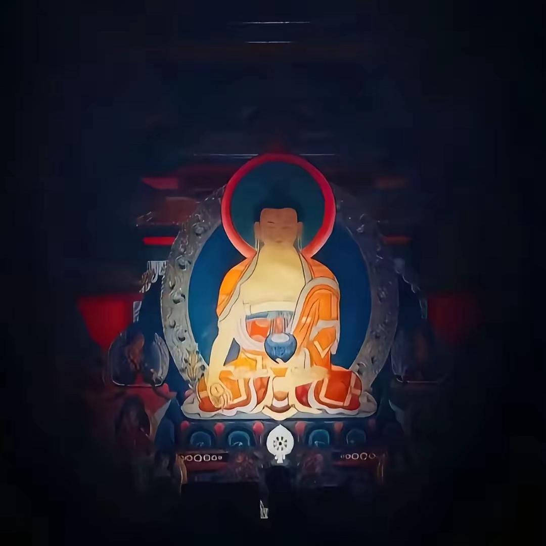 𝒇𝒓𝒆𝒆𝒅𝒐𝒎🏖️