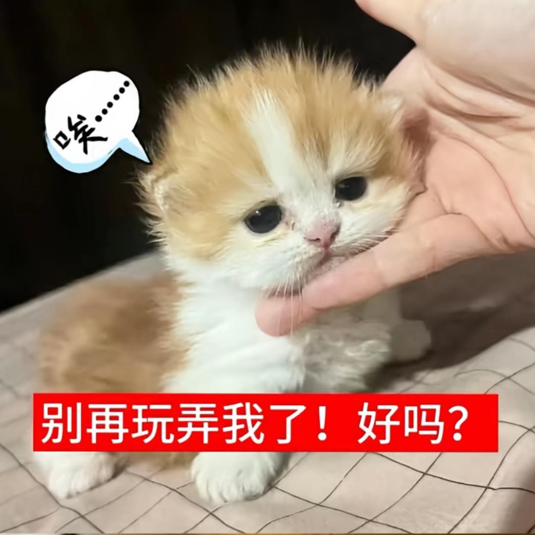 姚粒绒