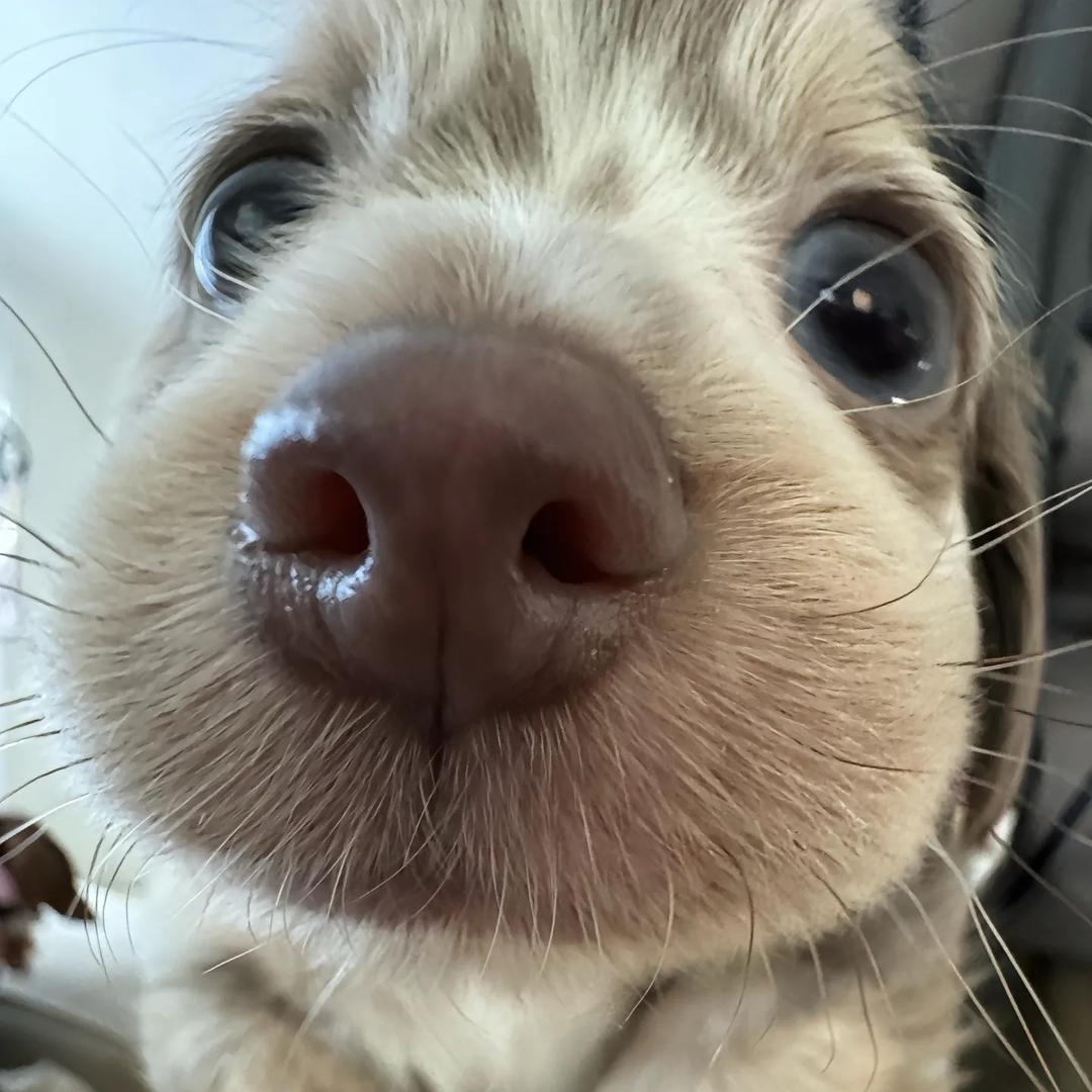 武汉市客滔百货有限公司