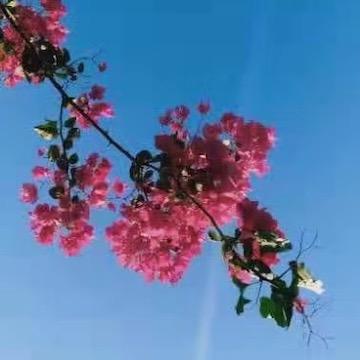 行者远航