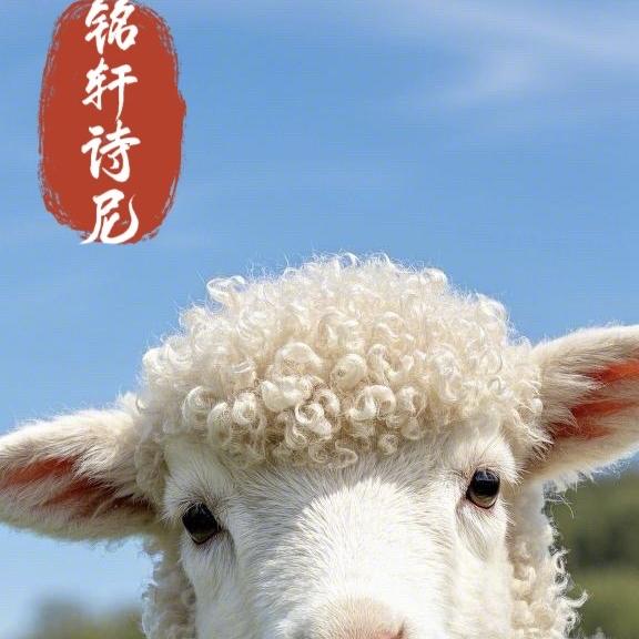 蠡县铭轩诗尼服装工厂店