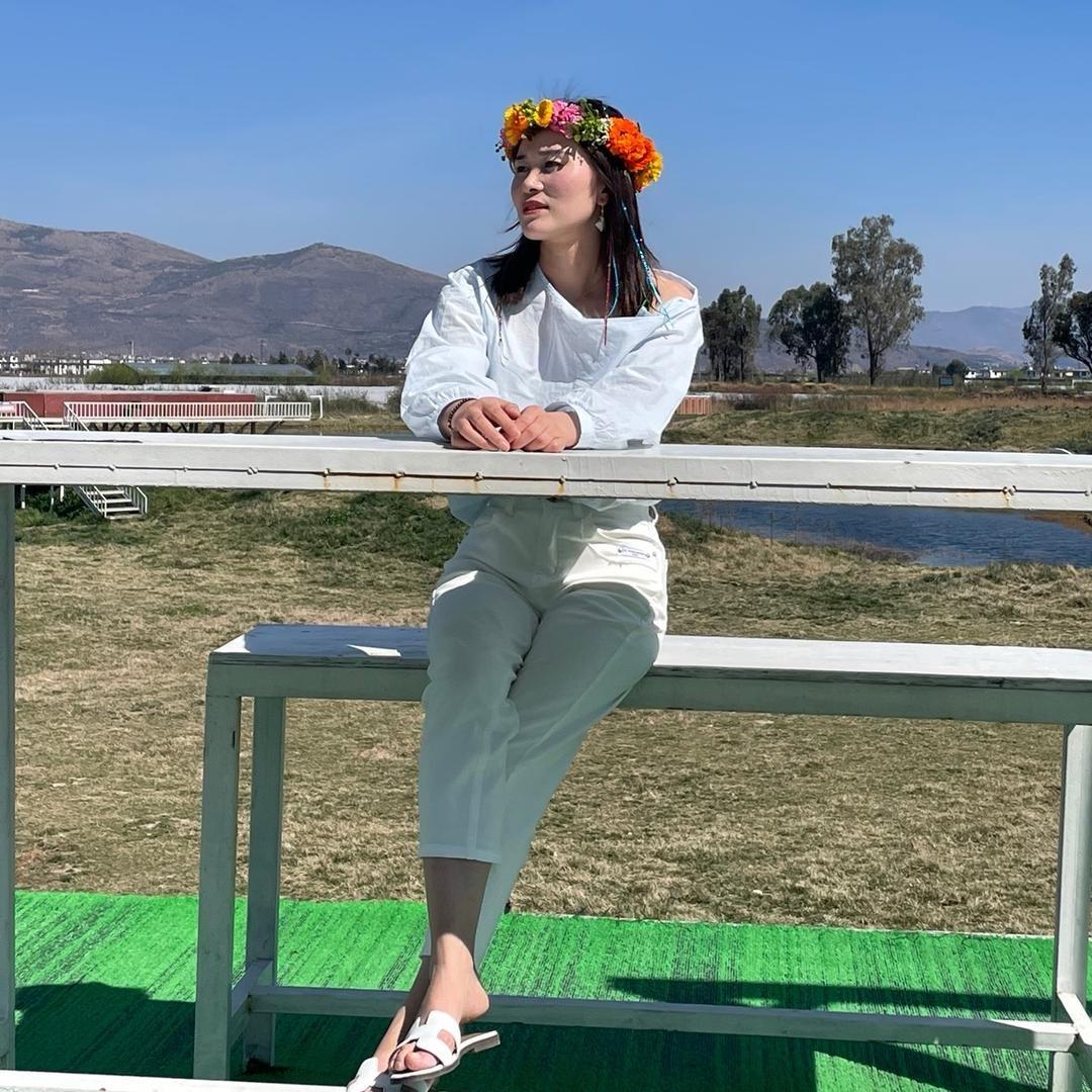 运宝宝不吃饼