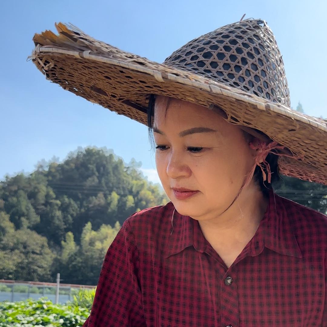 陈姐在大山