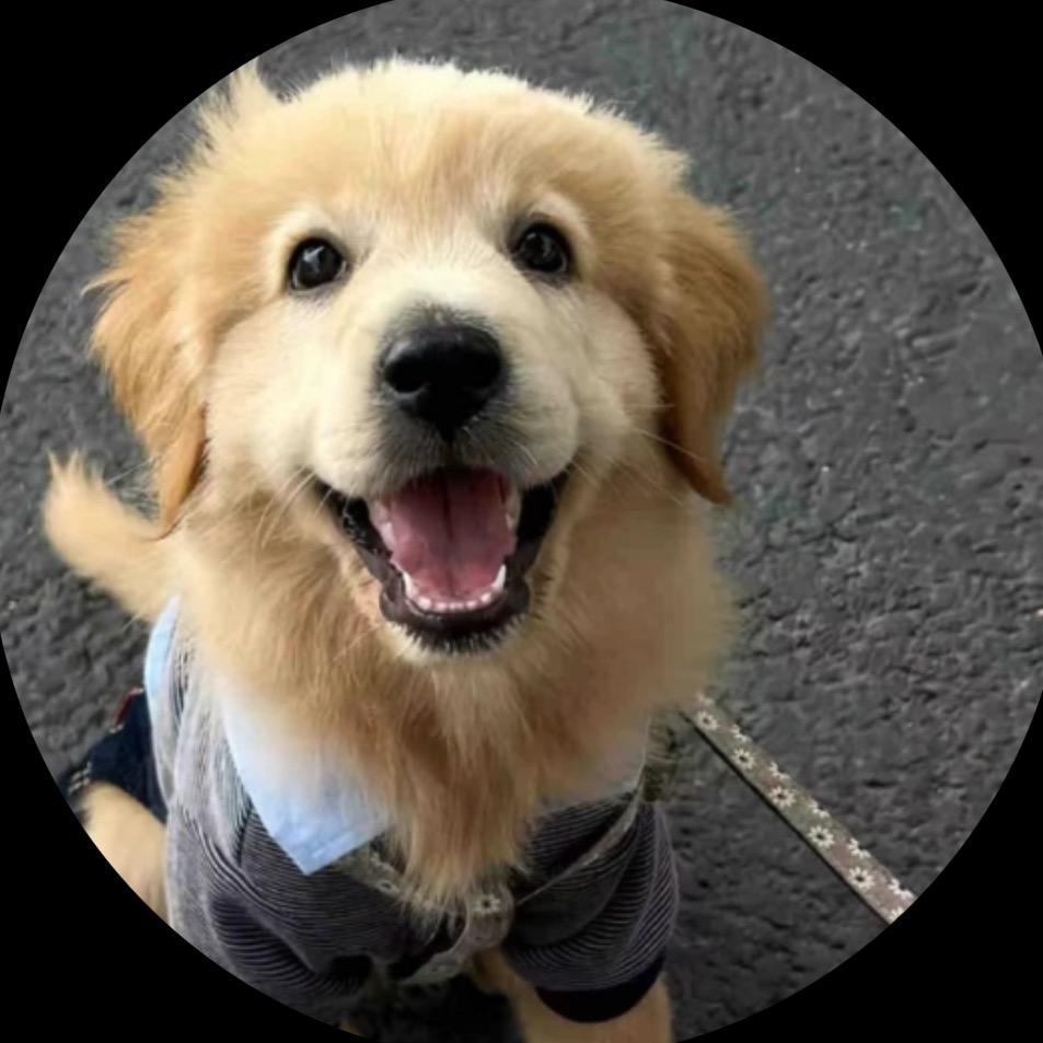 今天发生了什么？