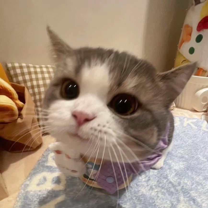 八大咦