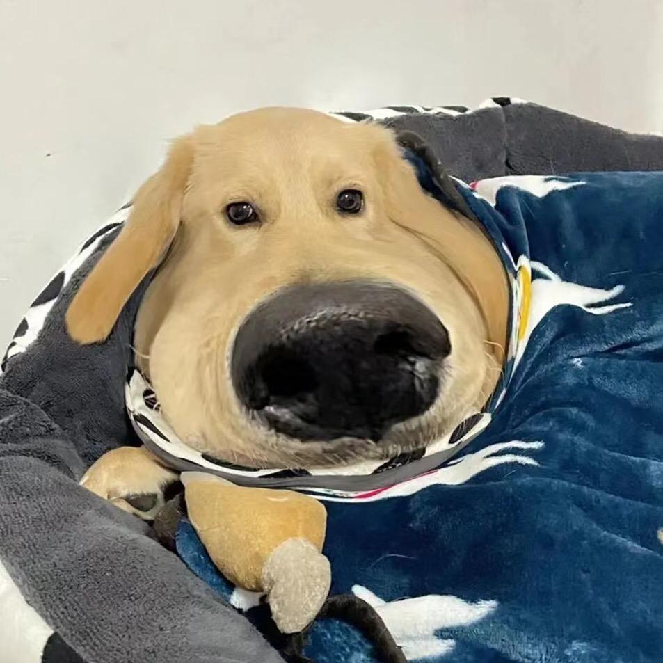 2105文化“有限”公司