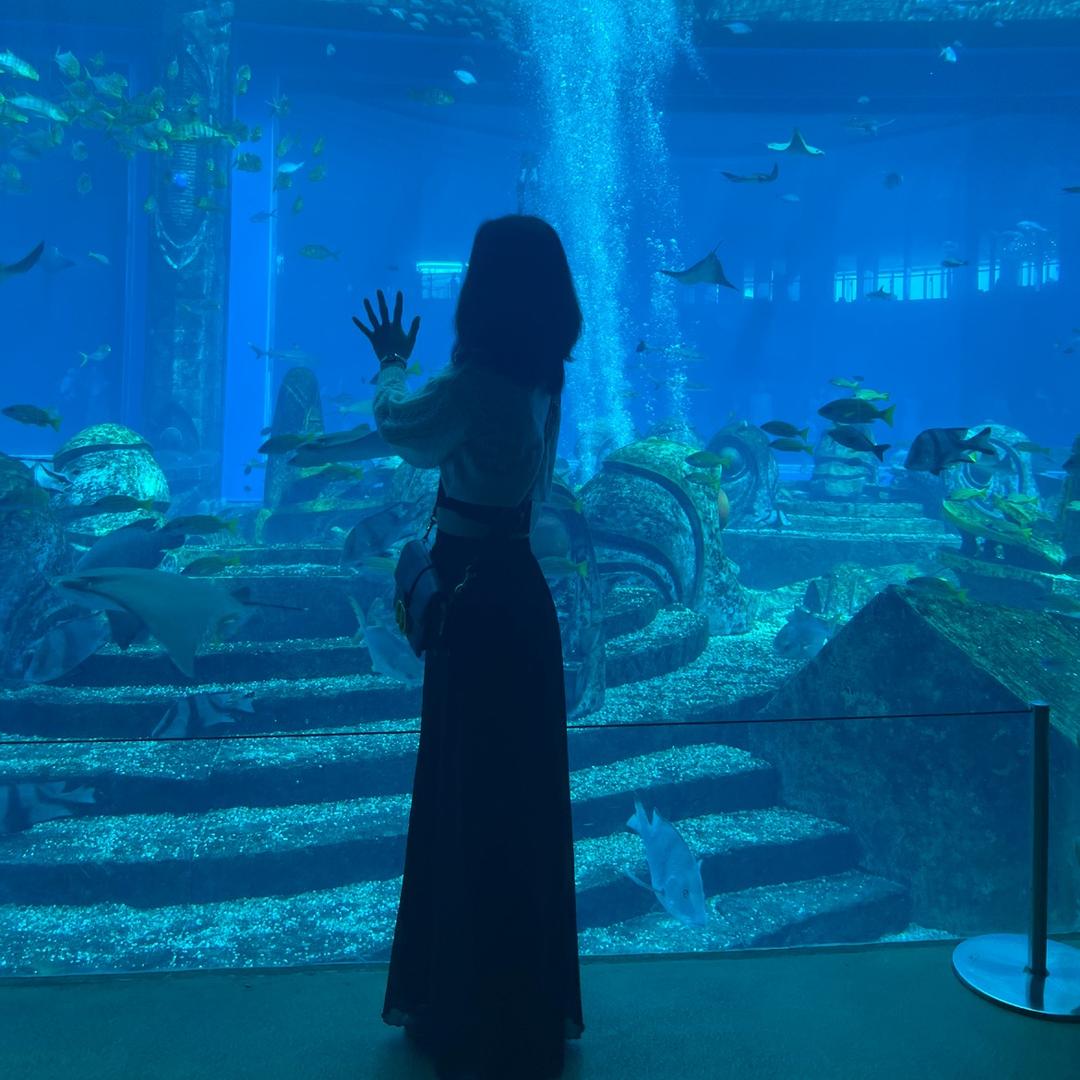 👶👶柠檬～橙子