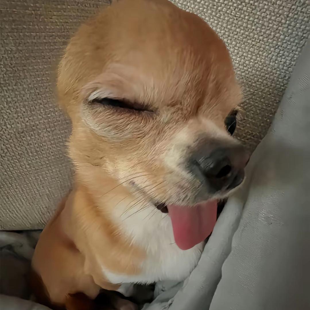易岙