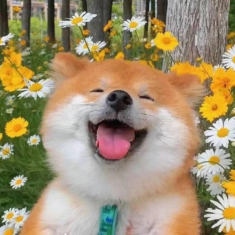 茄子没有黑眼圈