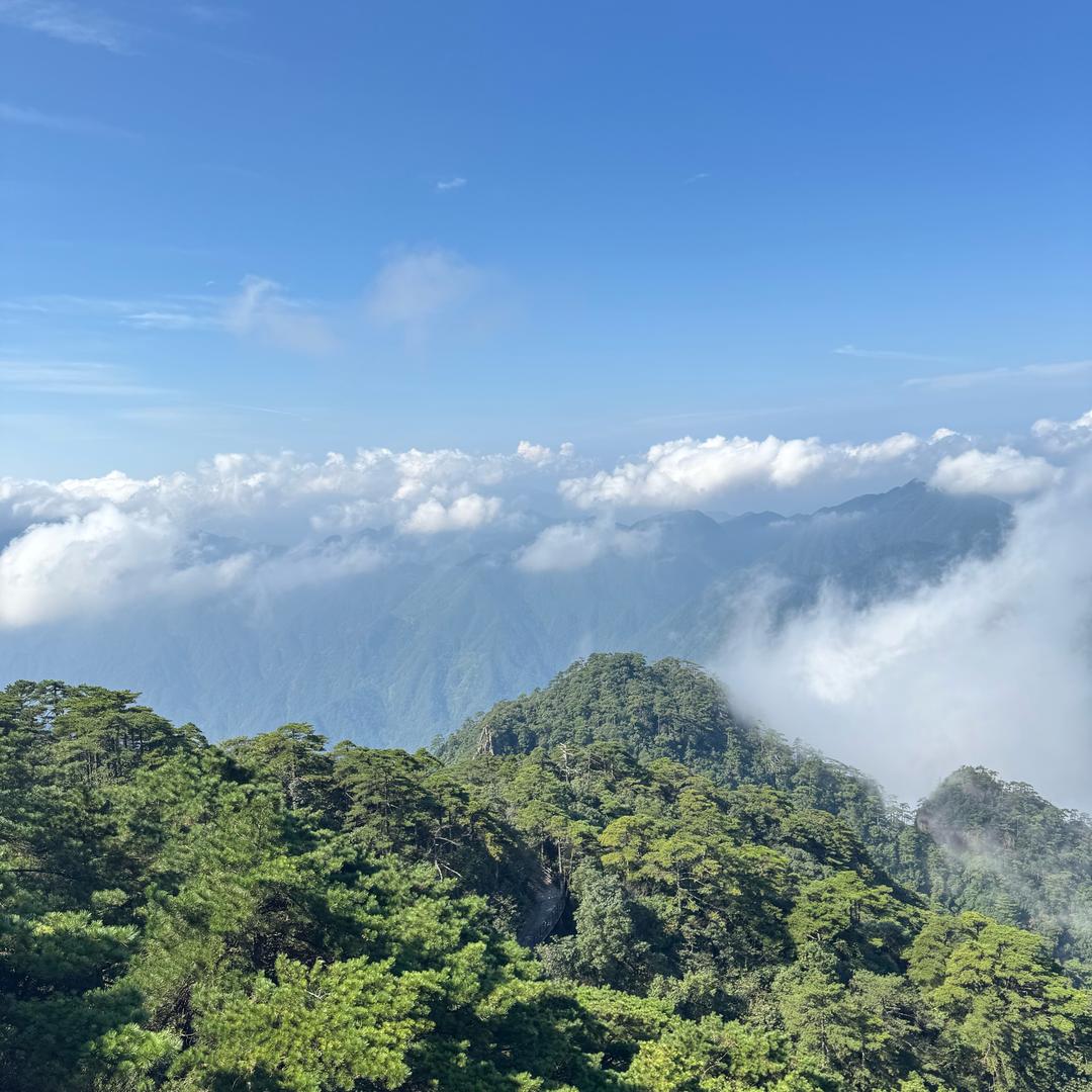 平凡人抽个上上签
