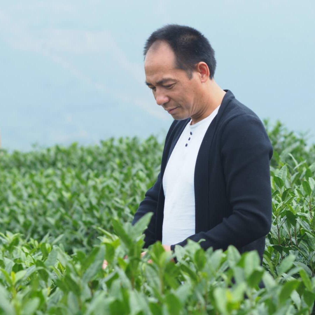 温师兄茶叶