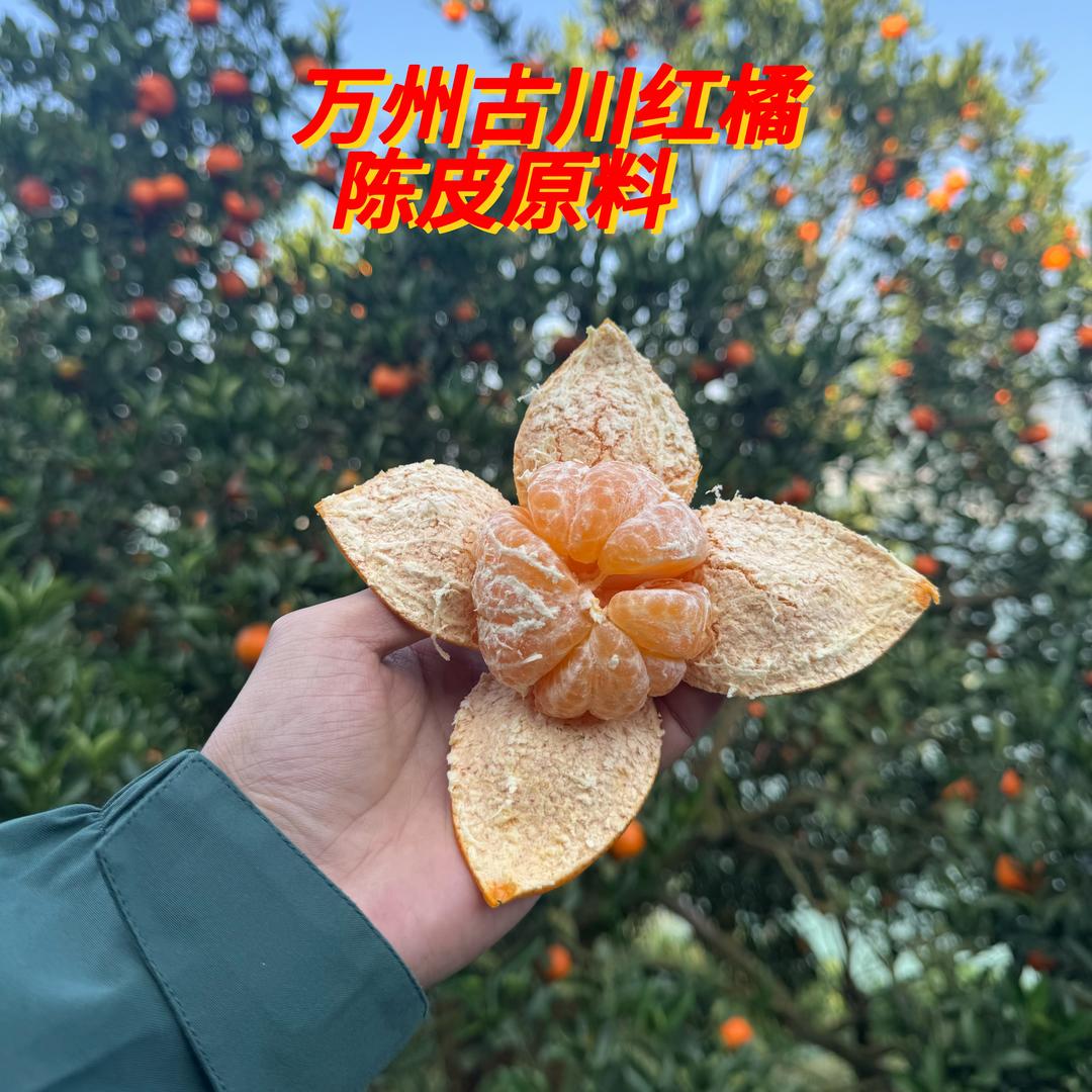 重庆憨纪果业鲜品市集