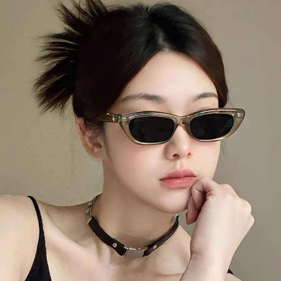 会飞的灰灰