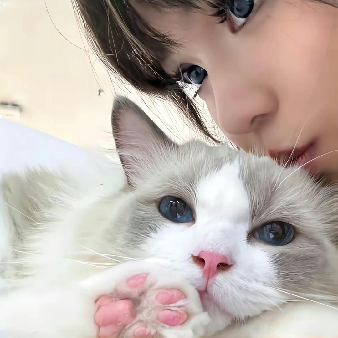 小熊