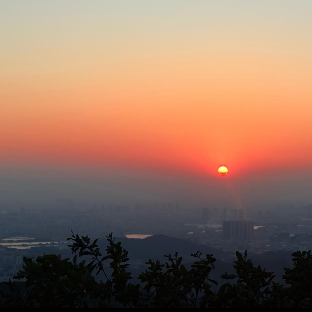 椰青美式