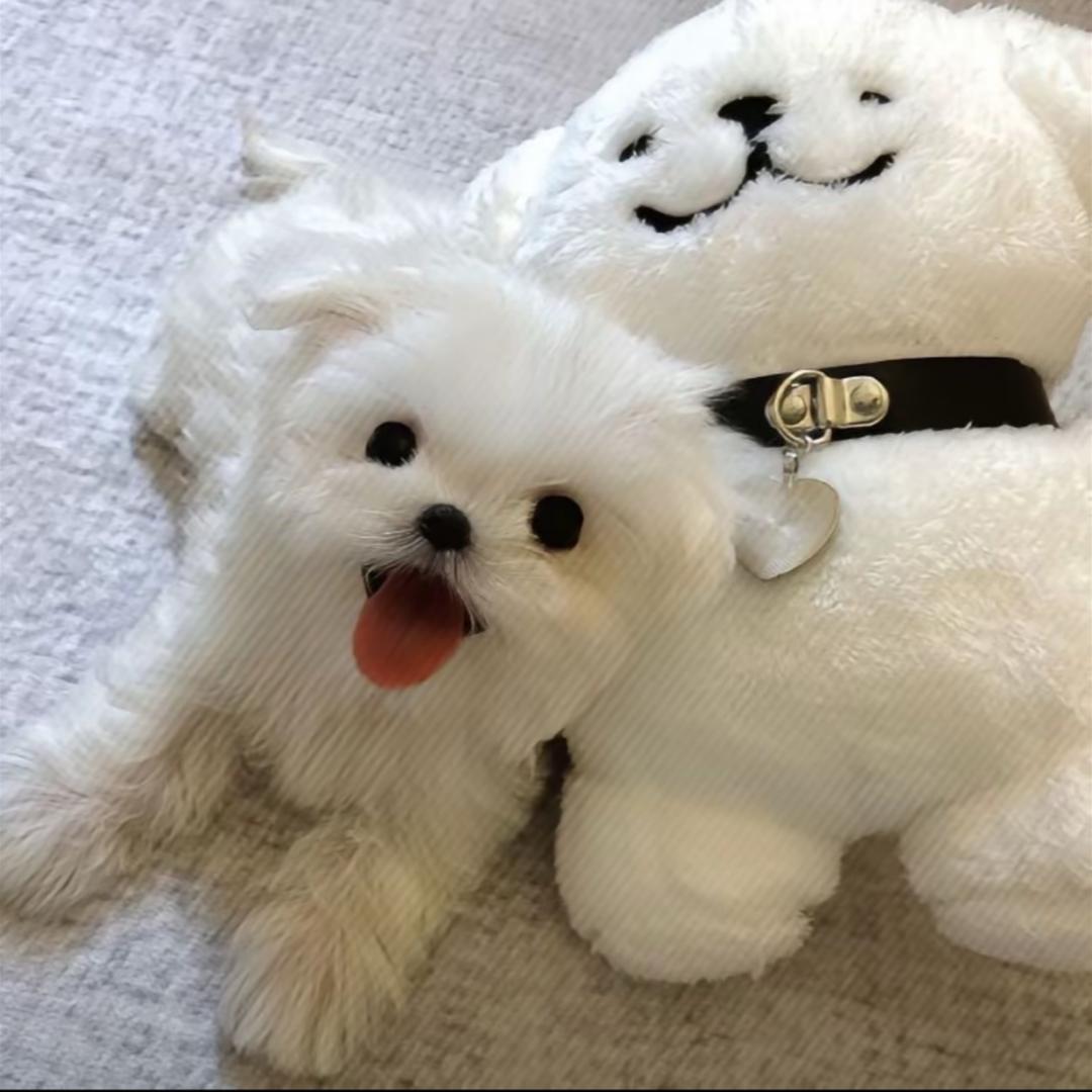 老公和小三跑了的那个雨夜