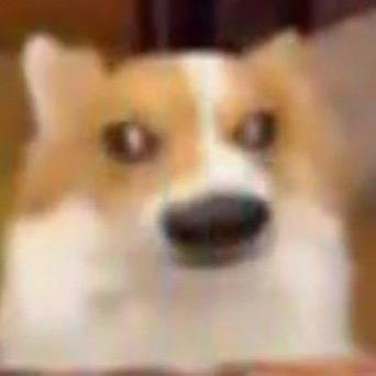 哈基D先生（三角洲）