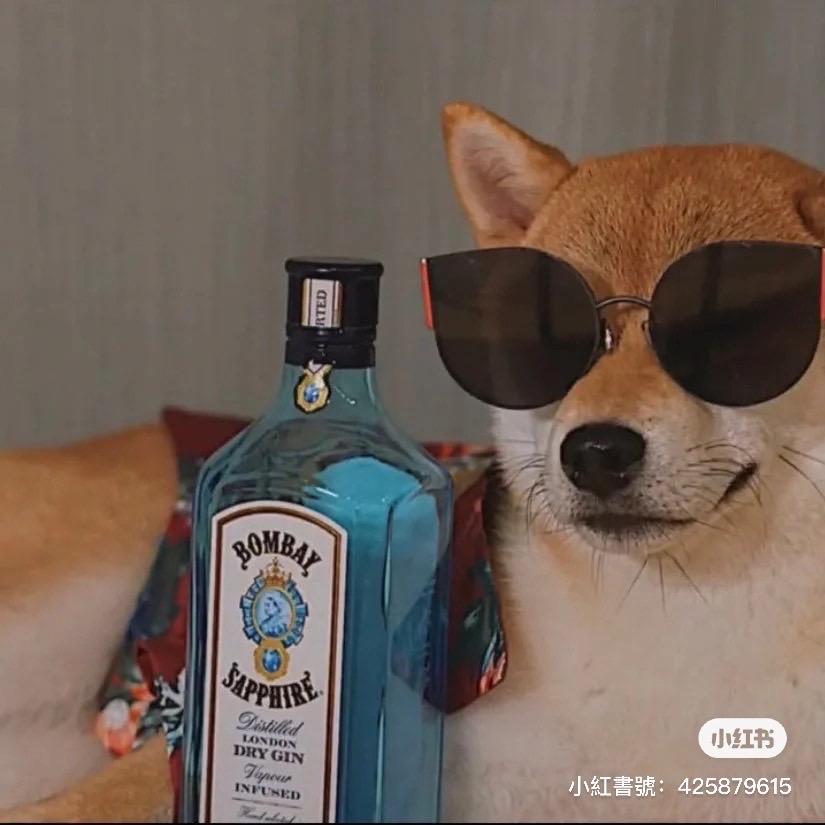 怪我喽