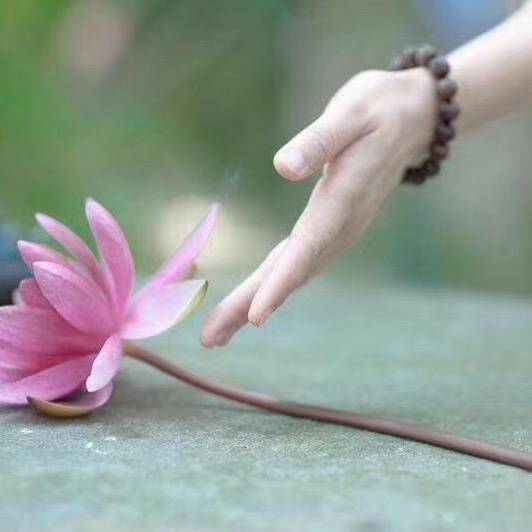 🧚🏻‍♀️多朵