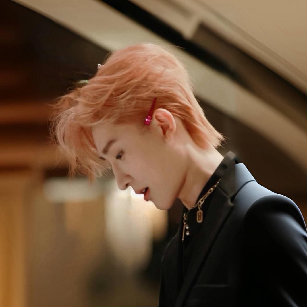 译泽❄️（粉毛版）