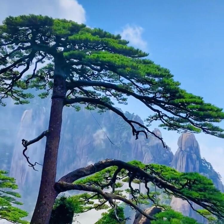 商界风向标