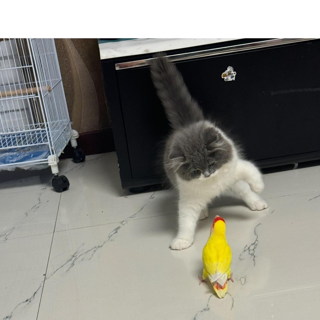 我们的一天✌️