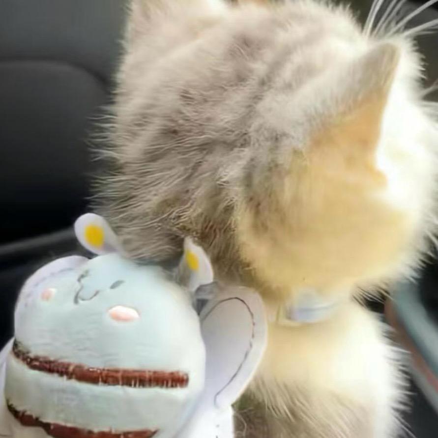 口苗口苗
