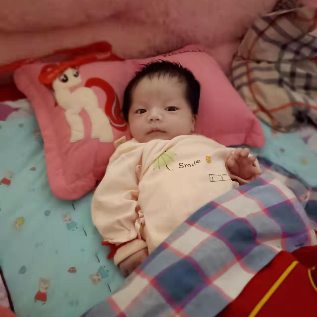 洛川苹果春师（代收代发)