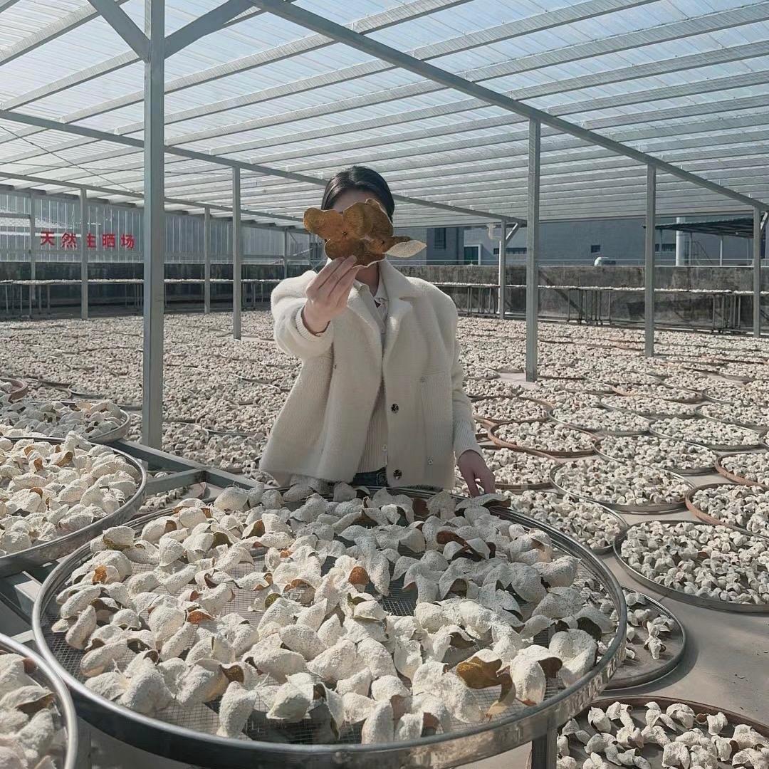 源溪茗茶（正宗新会陈皮）
