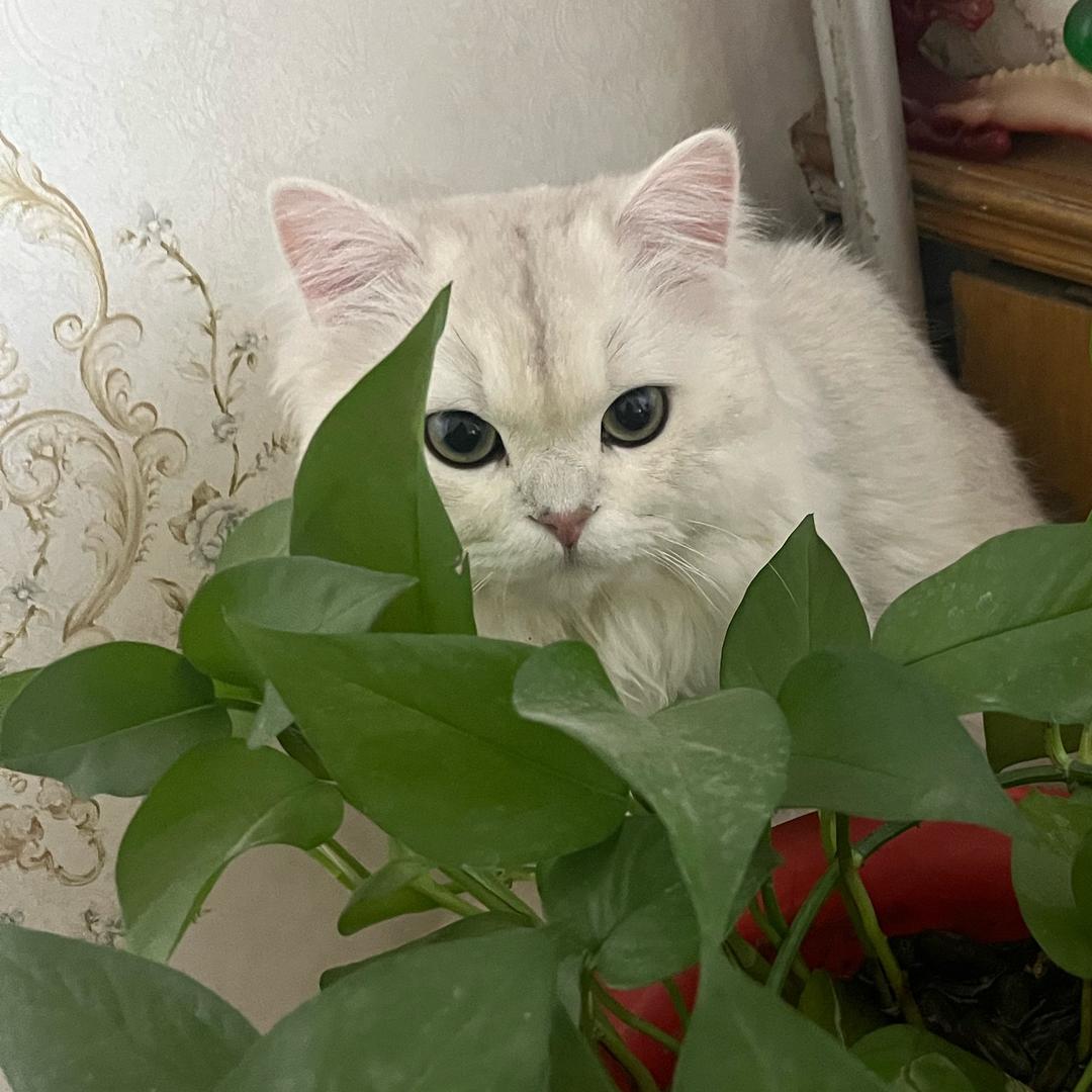 听雨