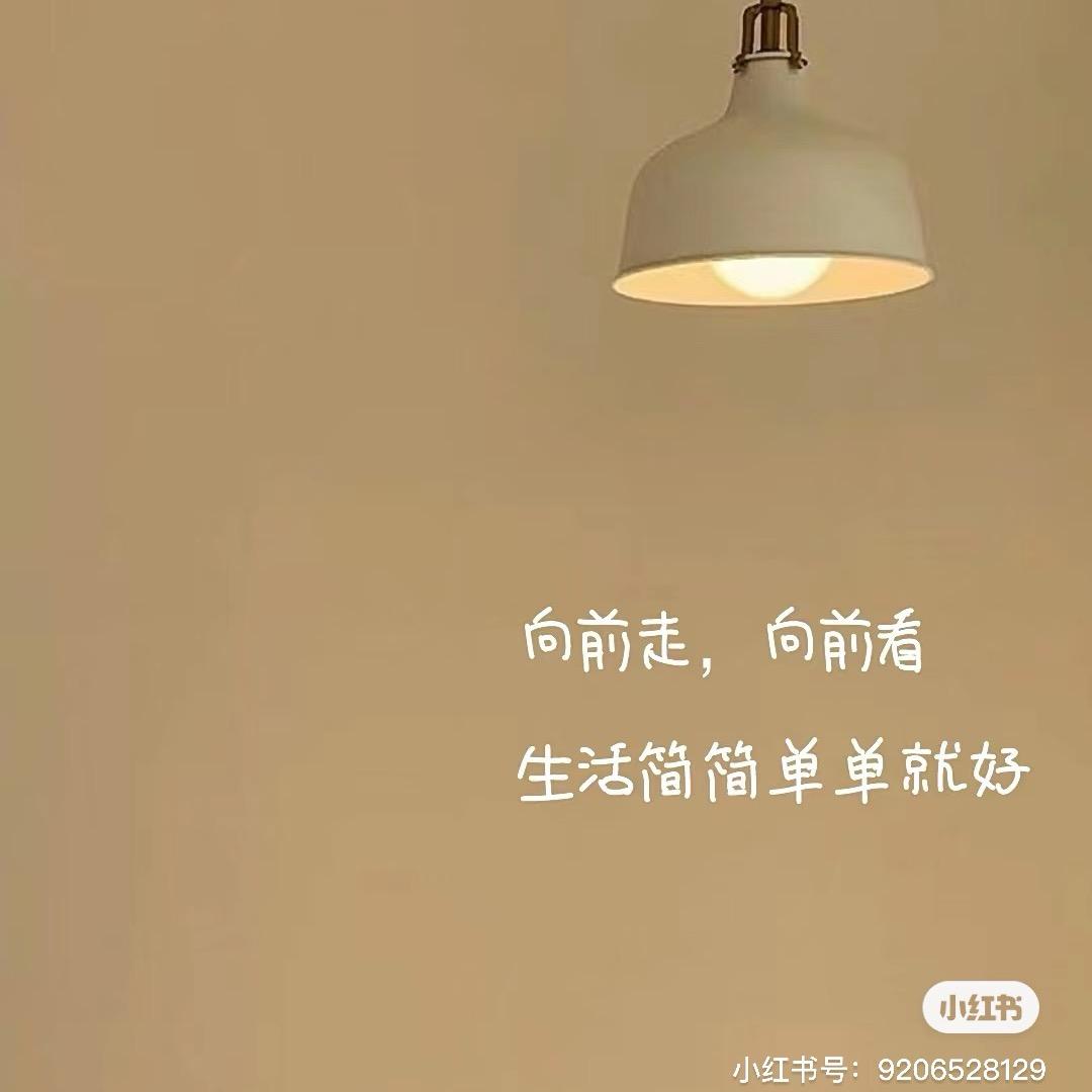 努力发扬手语的小白菜