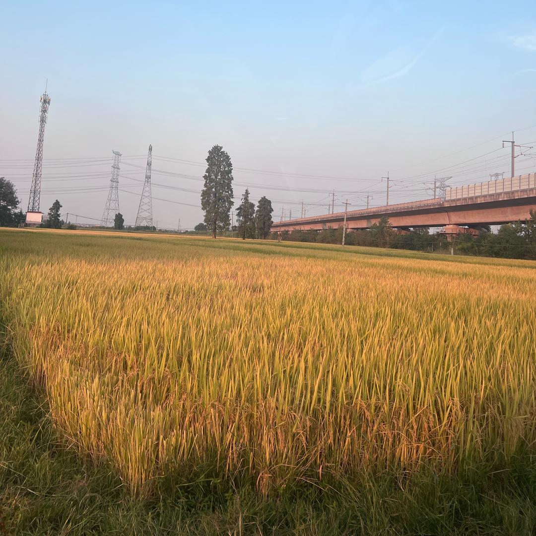 丰城外墙仿石漆芬姐（打价）