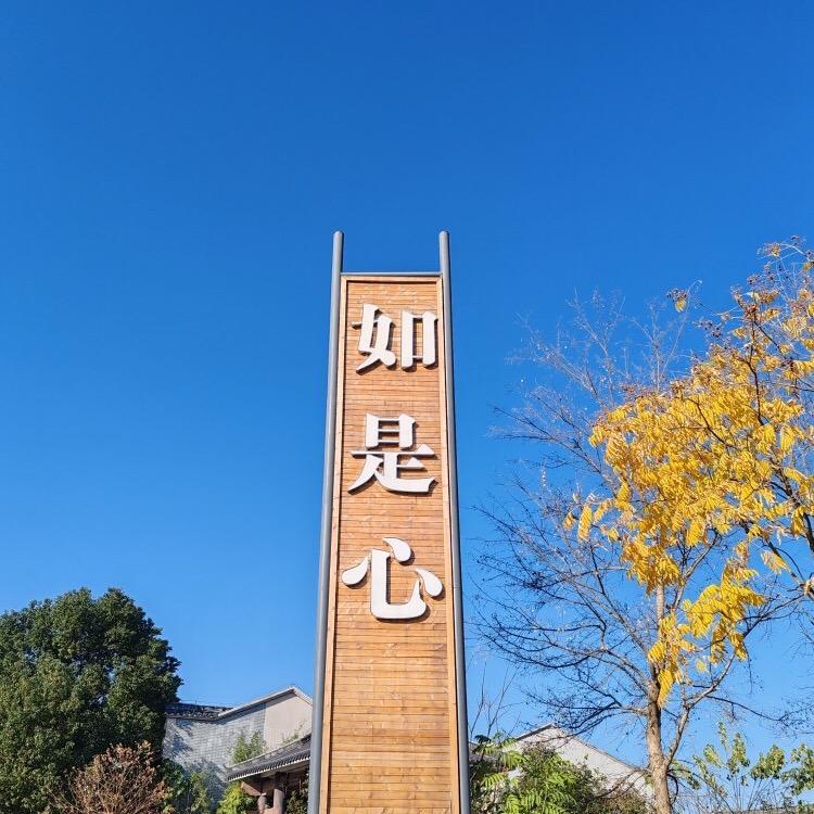 从心出发