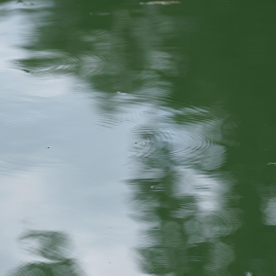 智韬