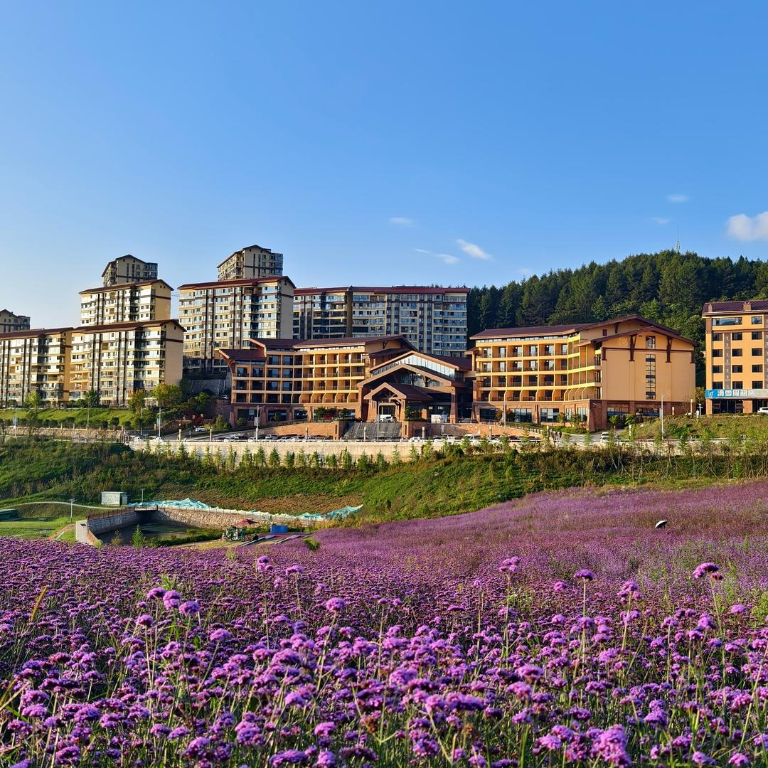 绿葱坡旅游推荐官