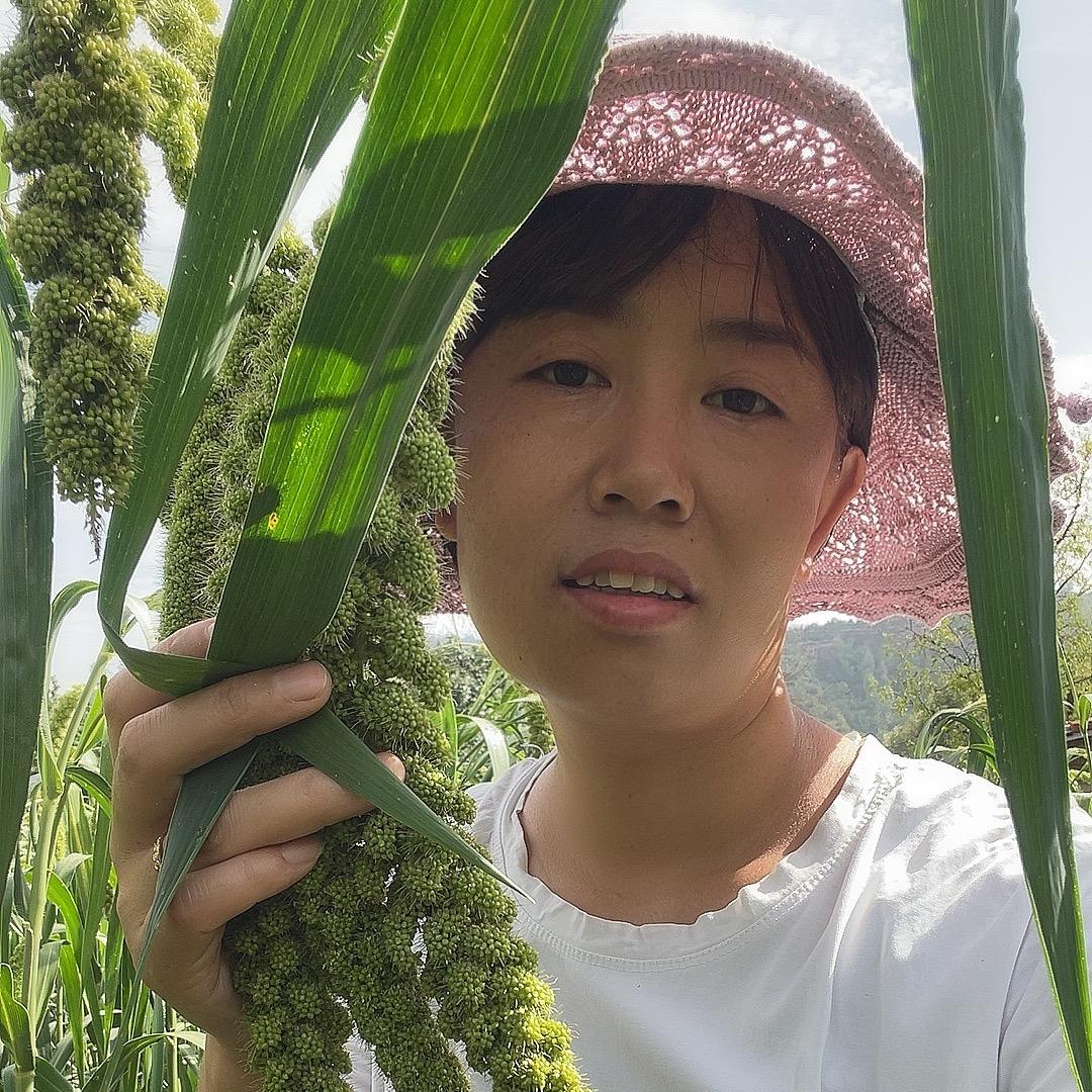 红花花