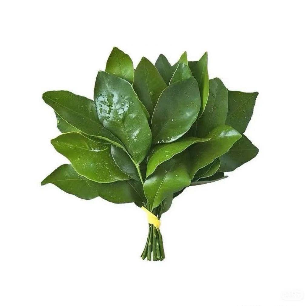 @Lin’s林林