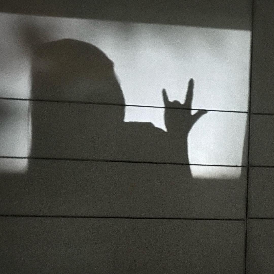 ᰔᩚ  wαηɡ sαṅ sαṅ ·